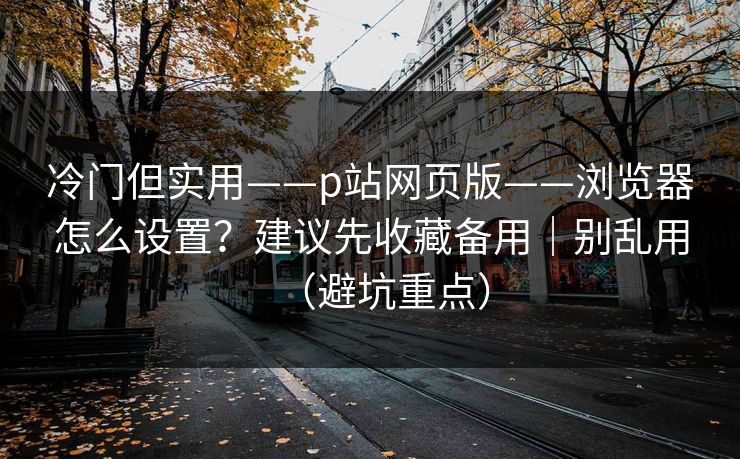 冷门但实用——p站网页版——浏览器怎么设置？建议先收藏备用｜别乱用（避坑重点）