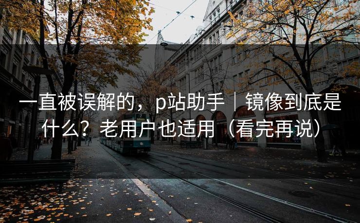 一直被误解的,p站助手|镜像到底是什么?老用户也适用(看完再说)