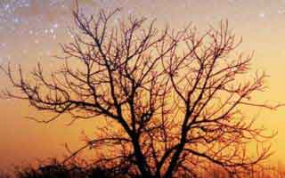 一直被误解的：每日大赛app网页版的时间线怎么用？看完再决定