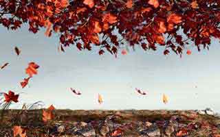 详细阅读:越看越不对劲-麻豆社区被低估了-最关键的推荐,越往后越上头(看完再说) 越看越不对劲-麻豆社区被低估了-最关键的推荐,越往后越上头(看完再说)