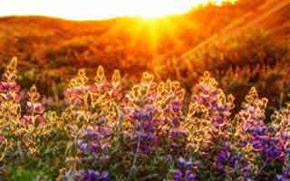 详细阅读:这条规则终于讲清-对比蘑菇视频社区,一篇讲清 这条规则终于讲清-对比蘑菇视频社区,一篇讲清