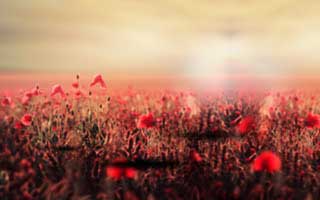 一篇讲透：p站浏览器——版权风险怎么避？立刻能用