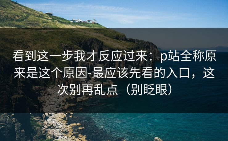 看到这一步我才反应过来：p站全称原来是这个原因-最应该先看的入口，这次别再乱点（别眨眼）
