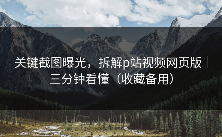 关键截图曝光，拆解p站视频网页版｜三分钟看懂（收藏备用）