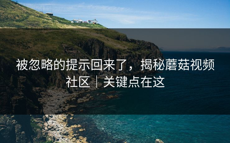 被忽略的提示回来了，揭秘蘑菇视频社区｜关键点在这