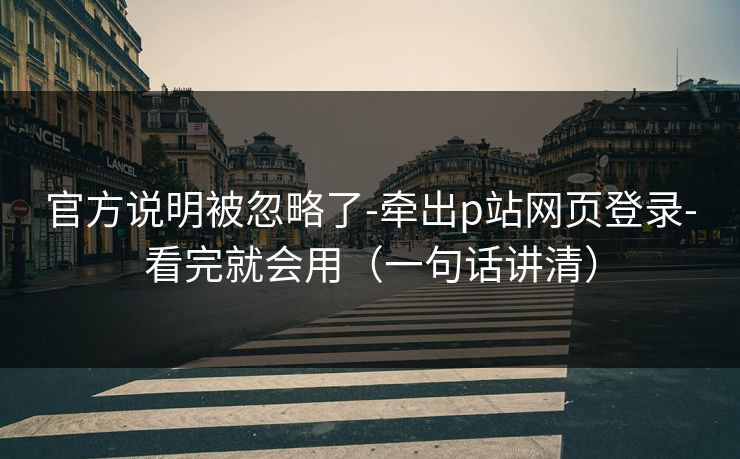官方说明被忽略了-牵出p站网页登录-看完就会用（一句话讲清）