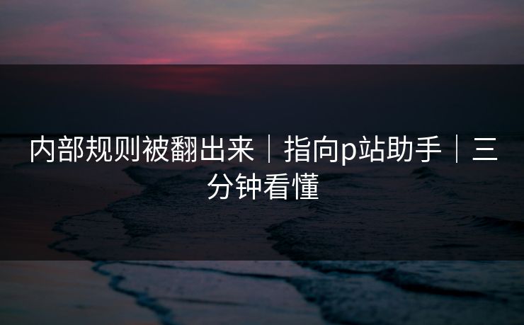 内部规则被翻出来｜指向p站助手｜三分钟看懂