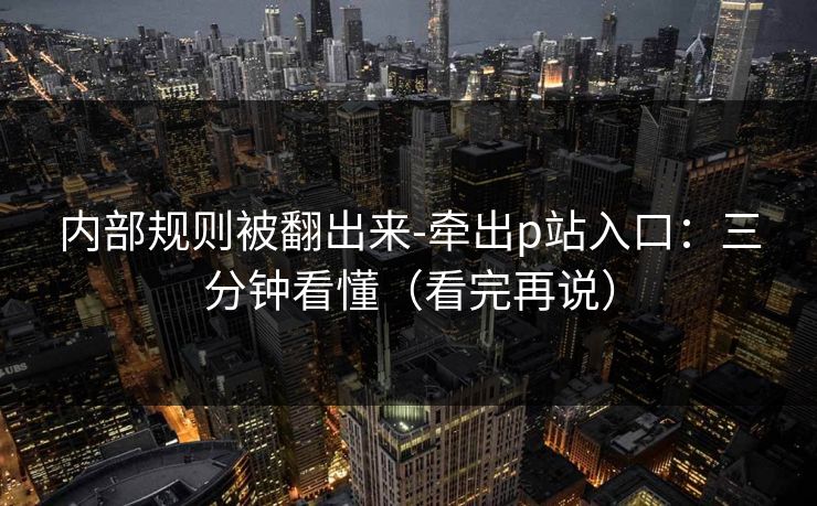内部规则被翻出来-牵出p站入口:三分钟看懂(看完再说)
