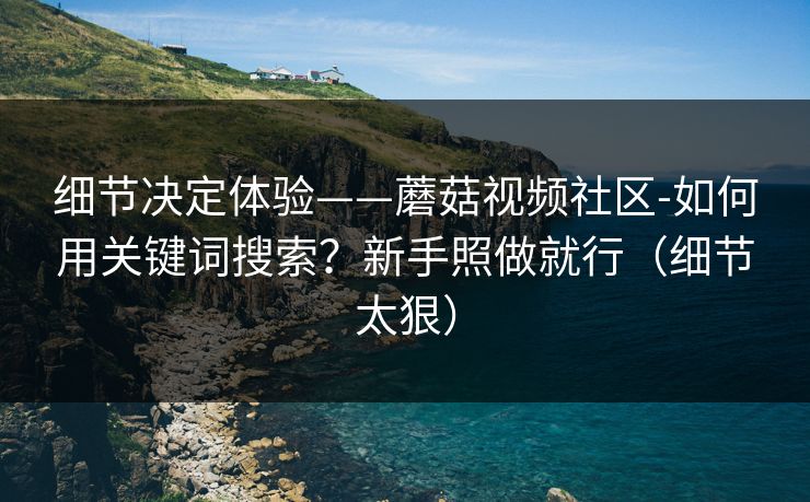 细节决定体验——蘑菇视频社区-如何用关键词搜索?新手照做就行(细节太狠)